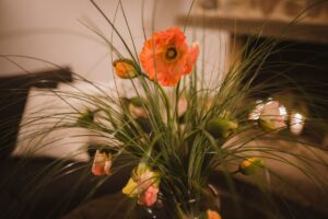 Blumen-Tschan-Wiedlisbach-Wangen-an-der-Aare-Solothurn-02