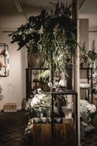 Blumen-Tschan-Wiedlisbach-Wangen-an-der-Aare-Solothurn-03