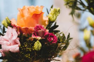 Blumen-Tschan-Wiedlisbach-Wangen-an-der-Aare-Solothurn-18