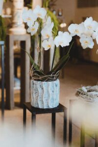 Blumen-Tschan-Wiedlisbach-Wangen-an-der-Aare-Solothurn-33