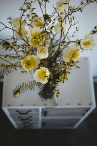 Blumen-Tschan-Wiedlisbach-Wangen-an-der-Aare-Solothurn-38
