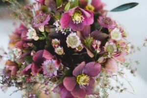 Blumen-Tschan-Wiedlisbach-Wangen-an-der-Aare-Solothurn-44