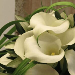 Blumen-Tschan-Wiedlisbach-Wangen-an-der-Aare-Solothurn-Hochzeitsfloristik-100