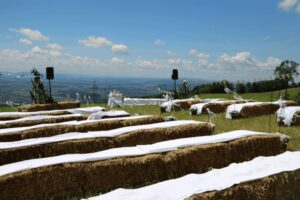 Blumen-Tschan-Wiedlisbach-Wangen-an-der-Aare-Solothurn-Hochzeitsfloristik-68
